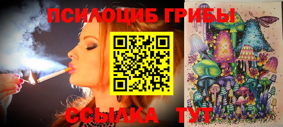 Галлюциногенные грибы Cubensis Димитровград