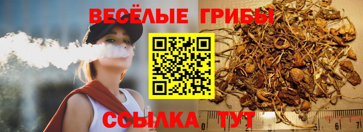 Галлюциногенные грибы Psilocybe  Вход с VPN  Димитровград  Псилоцибиновые грибы Cubensis 