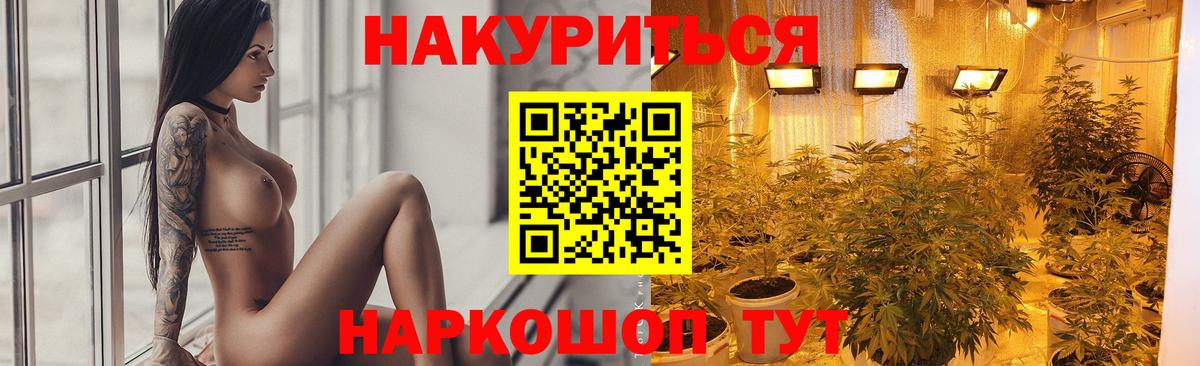 Каннабис сатива Димитровград